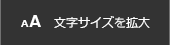 文字サイズを拡大